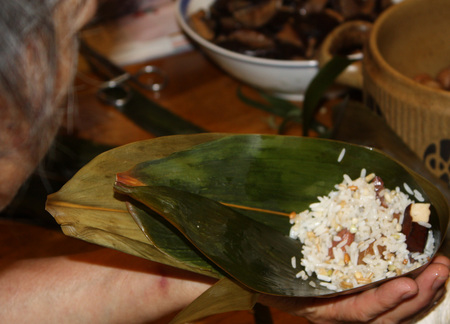 wang zongzi june2010 108.jpg